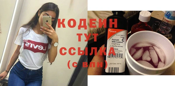 хмурый Мегион