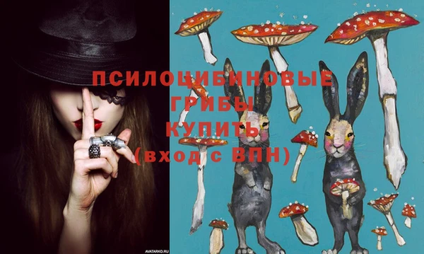 прущие крисы Магас