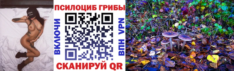Псилоцибиновые грибы MAGIC MUSHROOMS  Купить закладки  Щёлково 